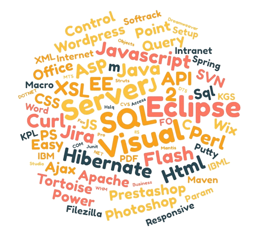 Développement spécifique en informatique